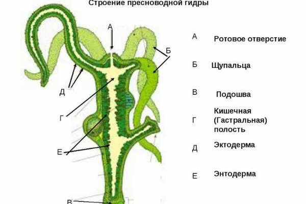 Кракен сайт даркнет