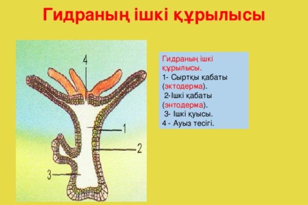 Почему в кракене пользователь не найден